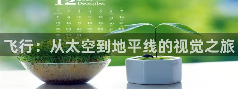 桃花巷电影全集：飞行：从太空到地平线的视觉之旅