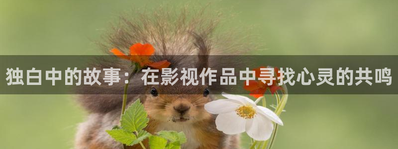 桃花岛成年免费视频：独白中的故事：在影视作品中寻找心灵的共鸣