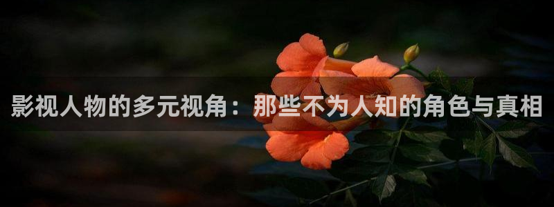 桃花大片：影视人物的多元视角：那些不为人知的角色与真相